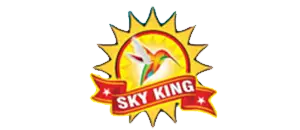 sivakasi crackers sale